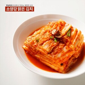 강원도 김치 소양강 맑은 김치  맛김치 400g 1kg 1.6kg 1kg3개 5kg 10kg