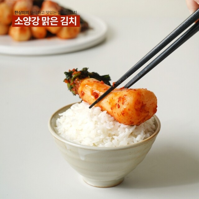 윤서식품,강원도 김치 소양강 맑은 김치 총각김치 500g,3kg,5kg,10kg