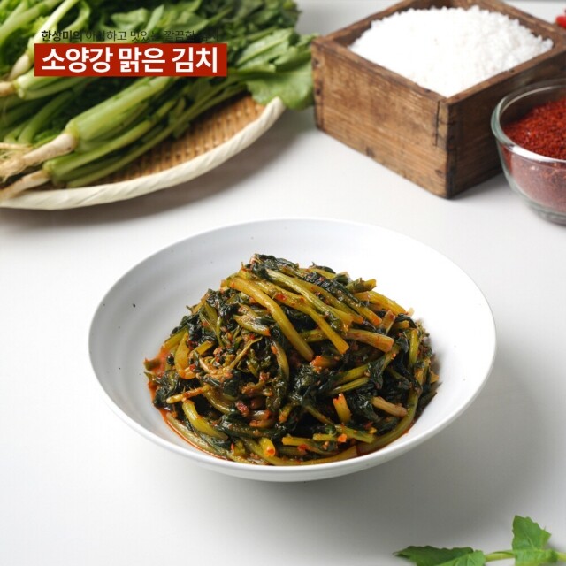 윤서식품,[원더구독] 강원도 김치 소양강 맑은 김치 열무김치 500g,3kg,5kg,10kg