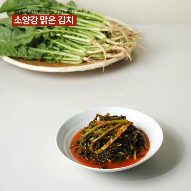 윤서식품,[원더구독] 강원도 김치 소양강 맑은 김치 열무김치 500g,3kg,5kg,10kg
