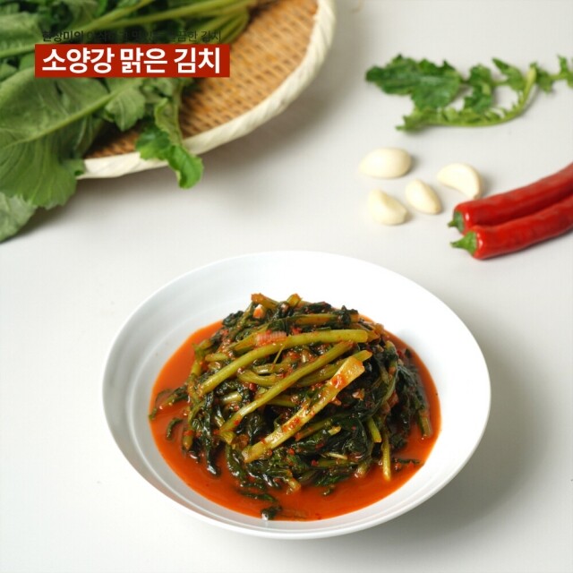 윤서식품,[원더구독] 강원도 김치 소양강 맑은 김치 열무김치 500g,3kg,5kg,10kg